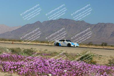 media/Jan-29-2023-PCA San Diego (Sun) [[aa0301ccc2]]/Yellow Group/Session 1 (Turn 15 Bloom)/